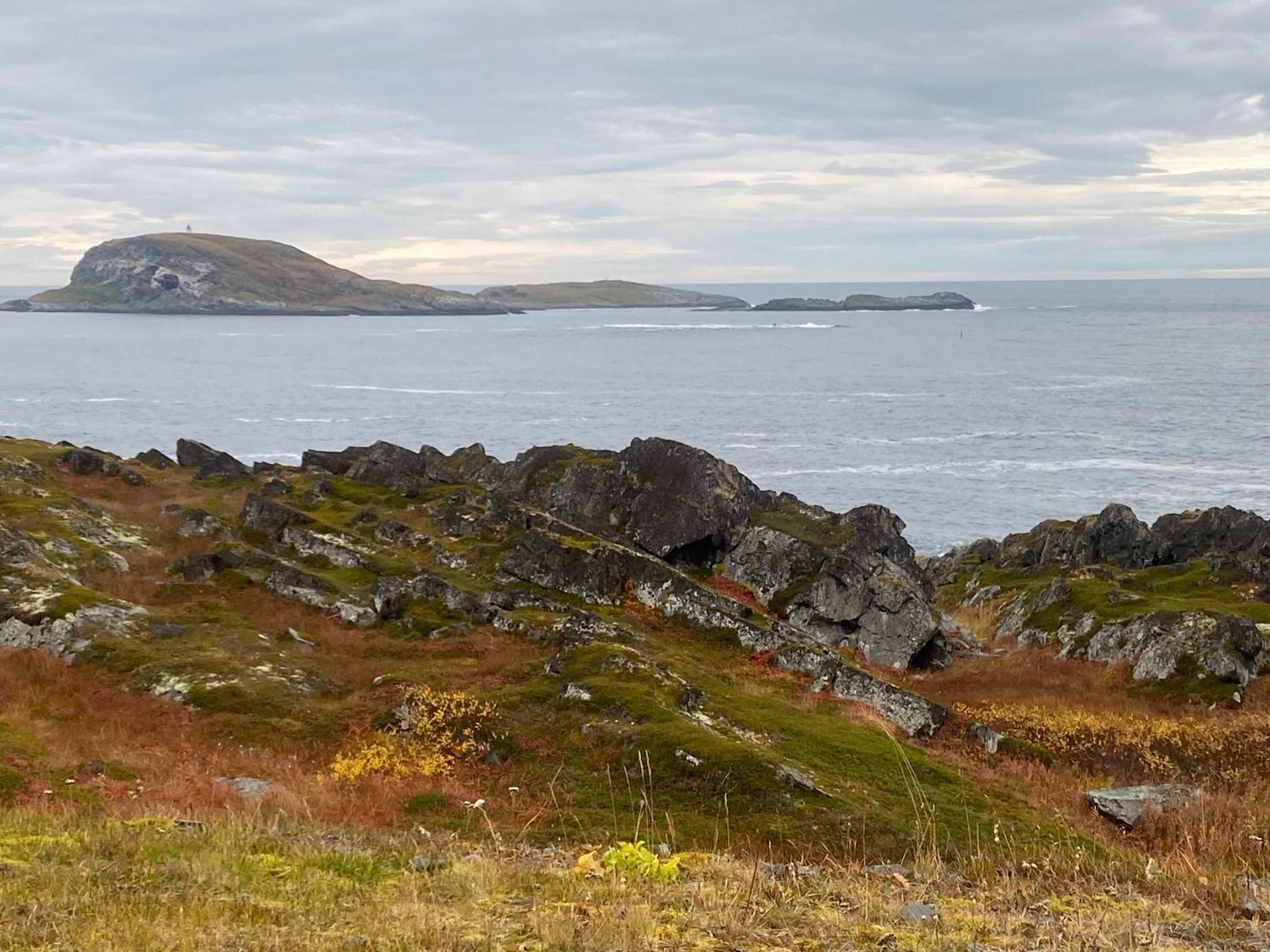 Panorama Vardø