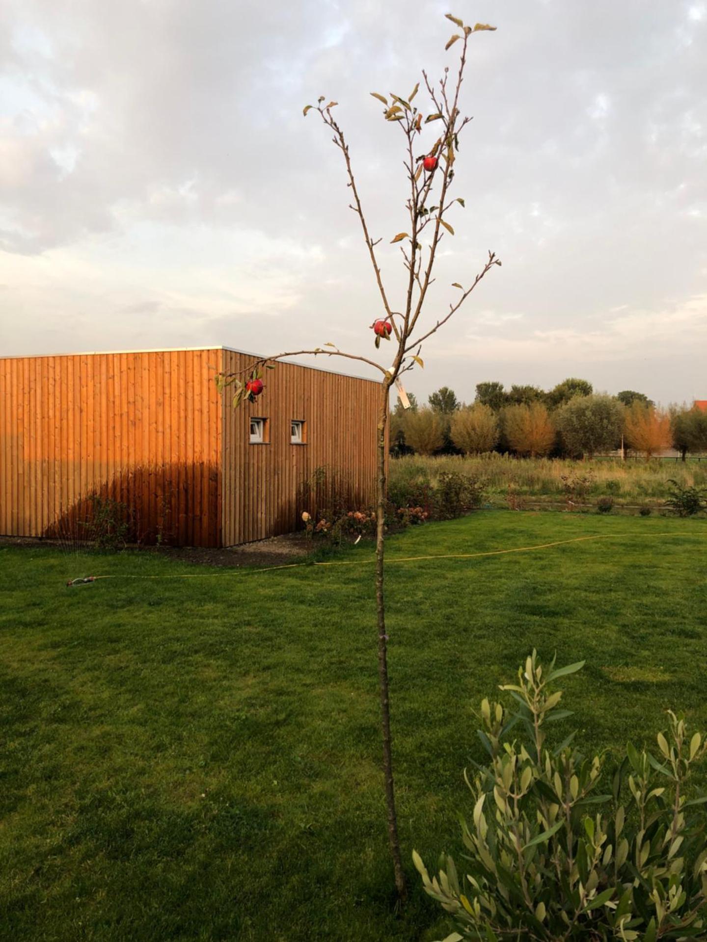 Tiny house Stilte oan it wetter