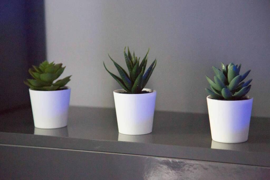 Gîte Love Dream - Le Gîte Romantique