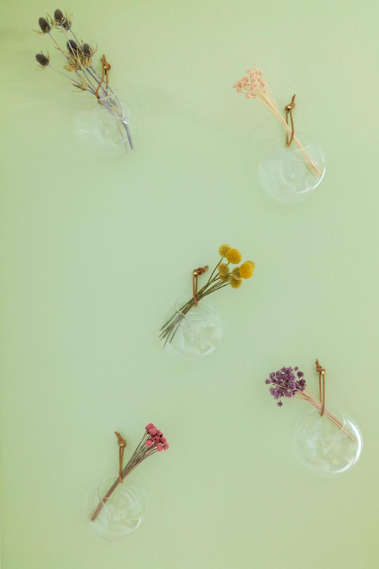 Rotes Haus Bregenz Garten Wohnung