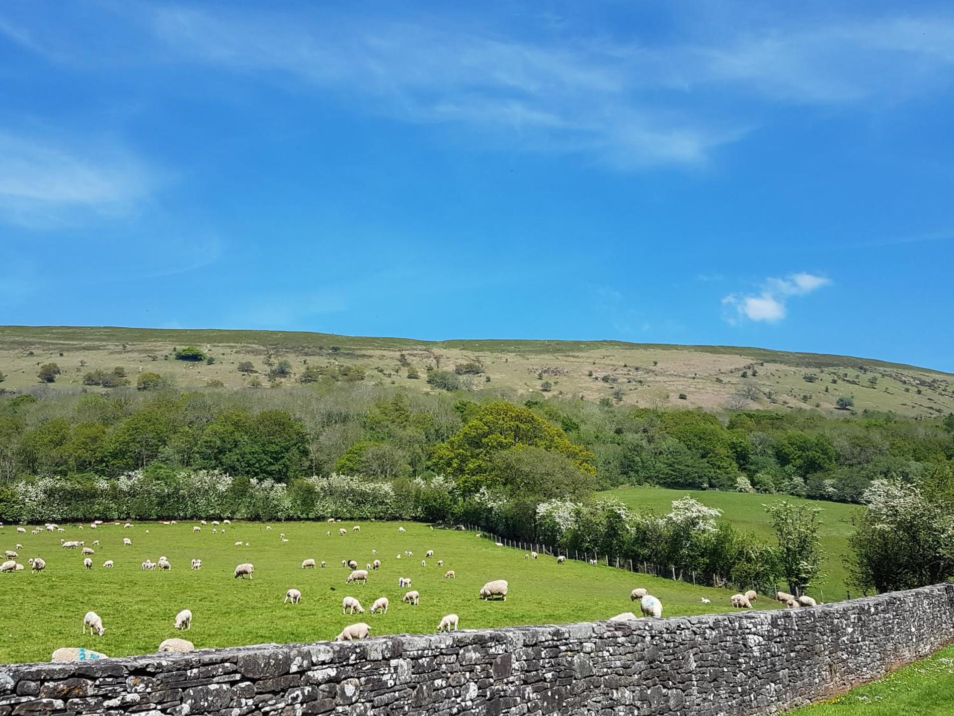 Old Bake House Cottage @ Cwm Mill