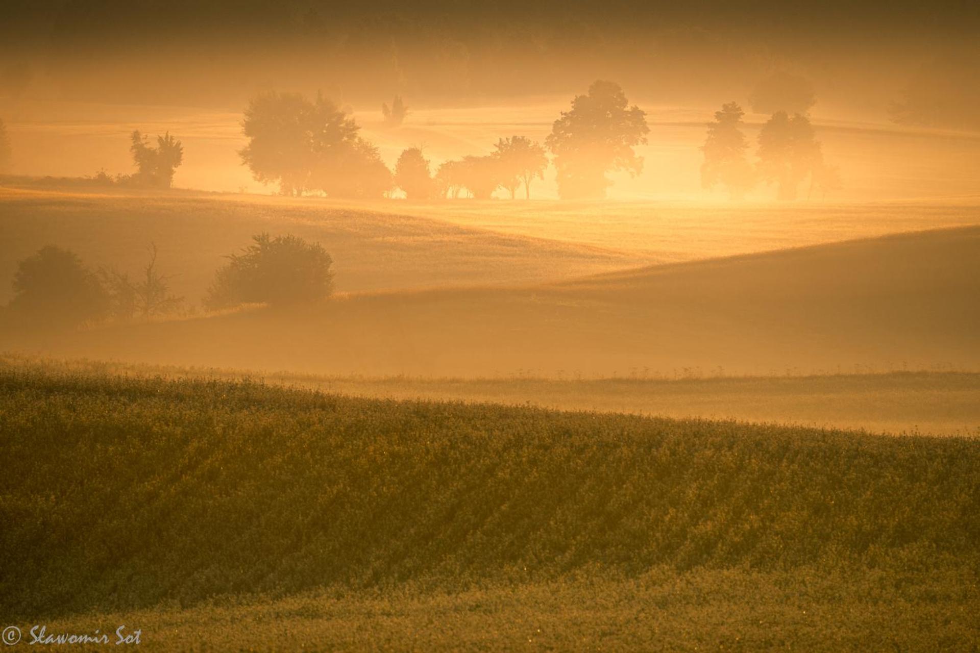 ACTIVFARM DOMKI NA KASZUBACH Domek Piotruś