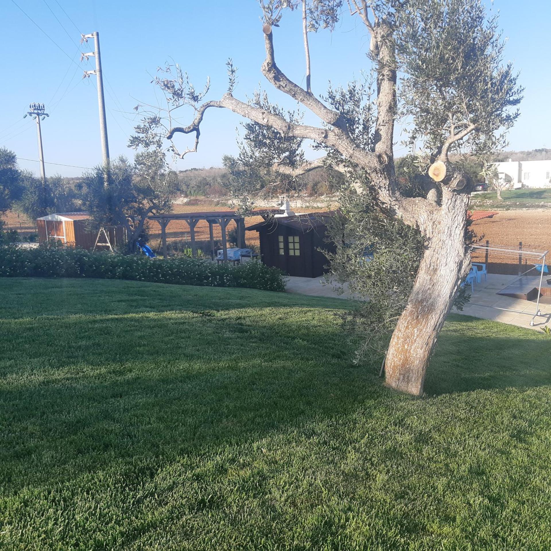 Mariam Holiday House