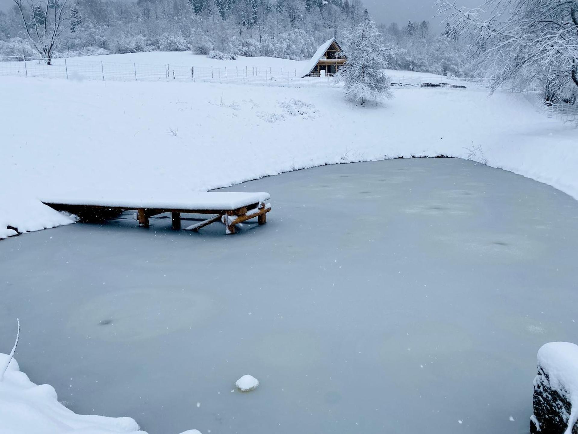 Bieszczadzka Samotnia