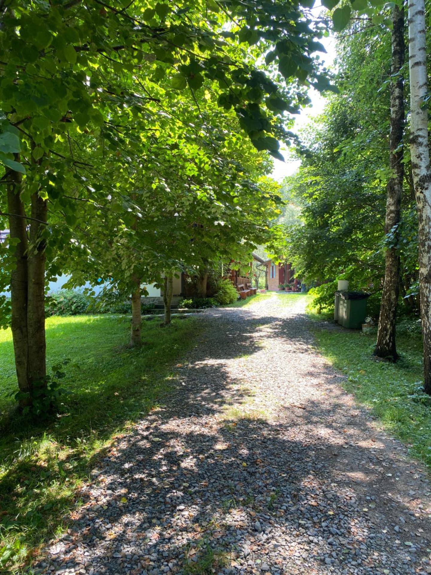 Bieszczadzka Samotnia