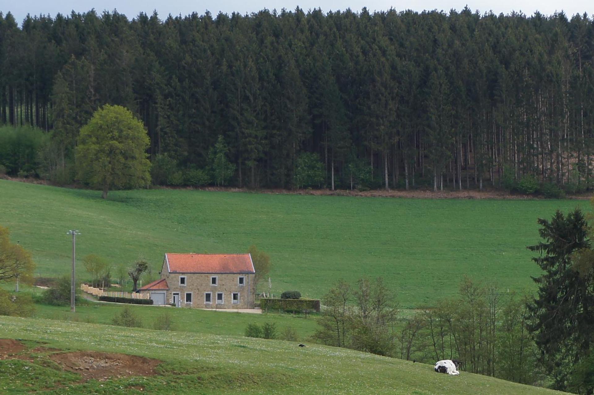 Gite rural '21 bonnes raisons' - Ossogne