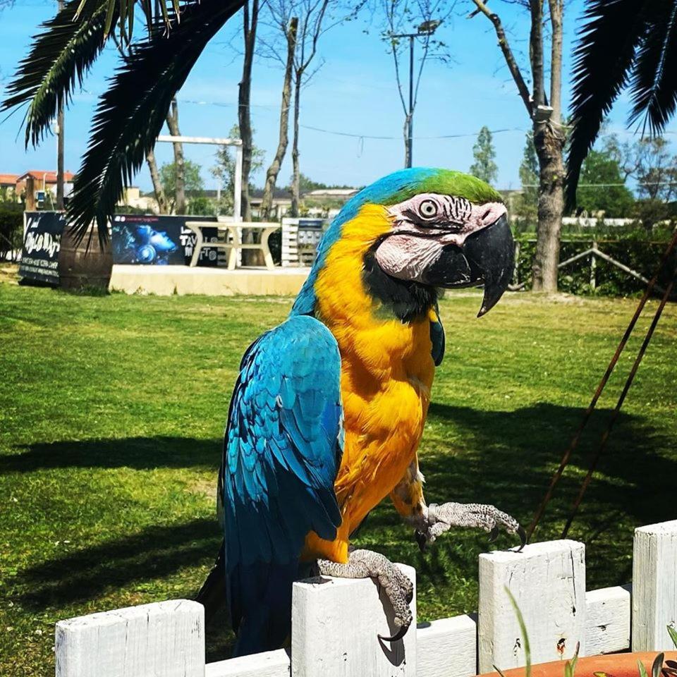 Locanda del Tavolo Matto