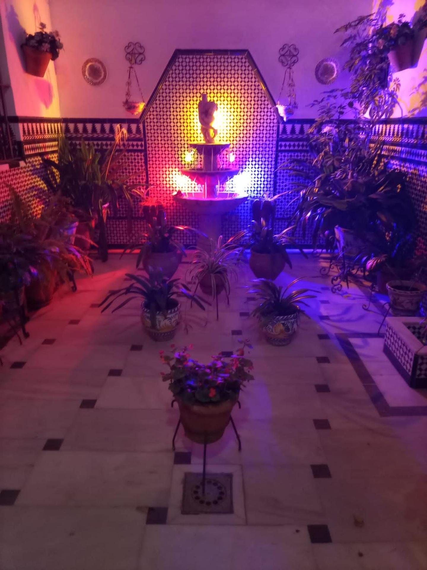 TRIANA LOS PRINCIPES