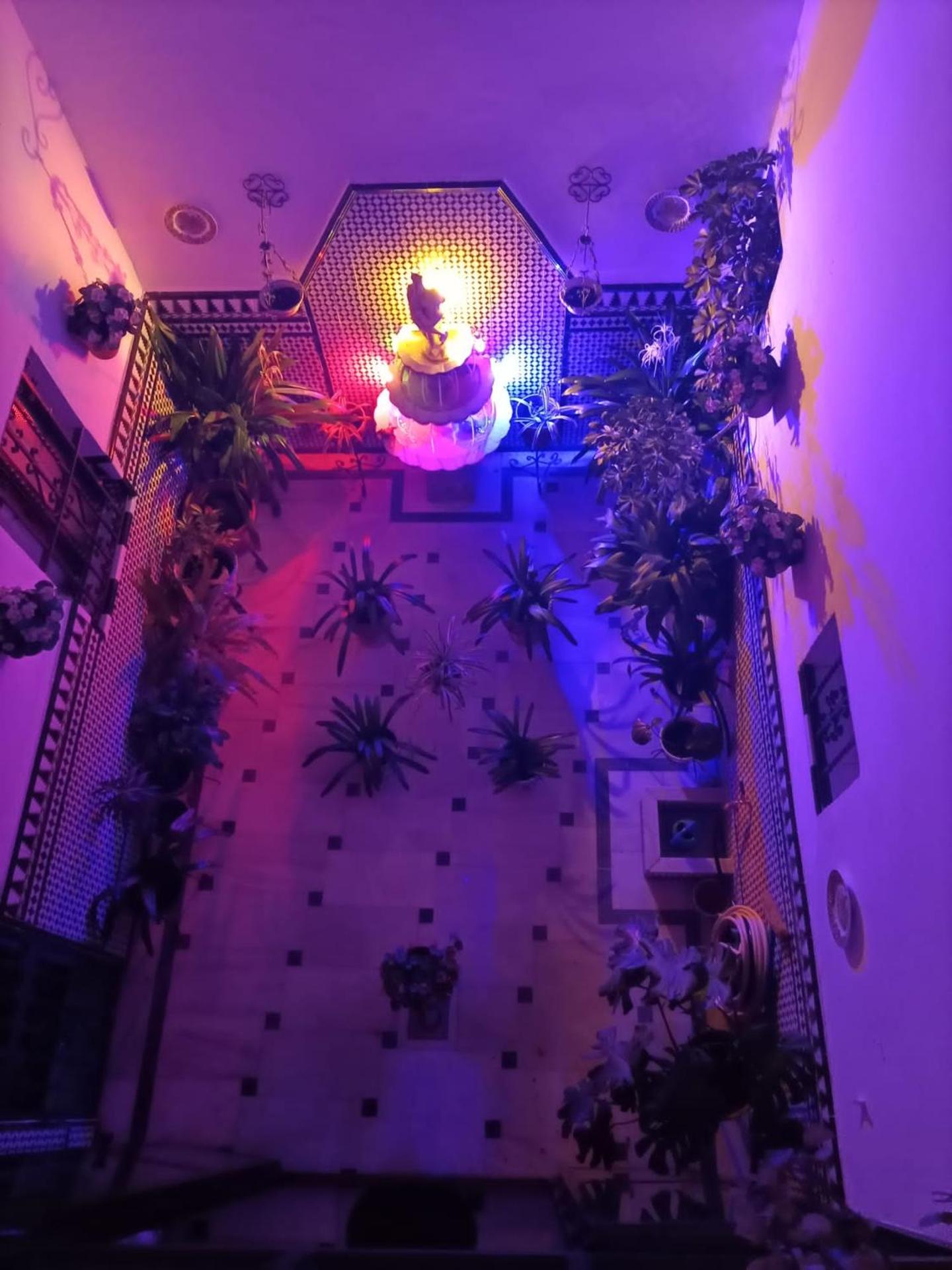 TRIANA LOS PRINCIPES