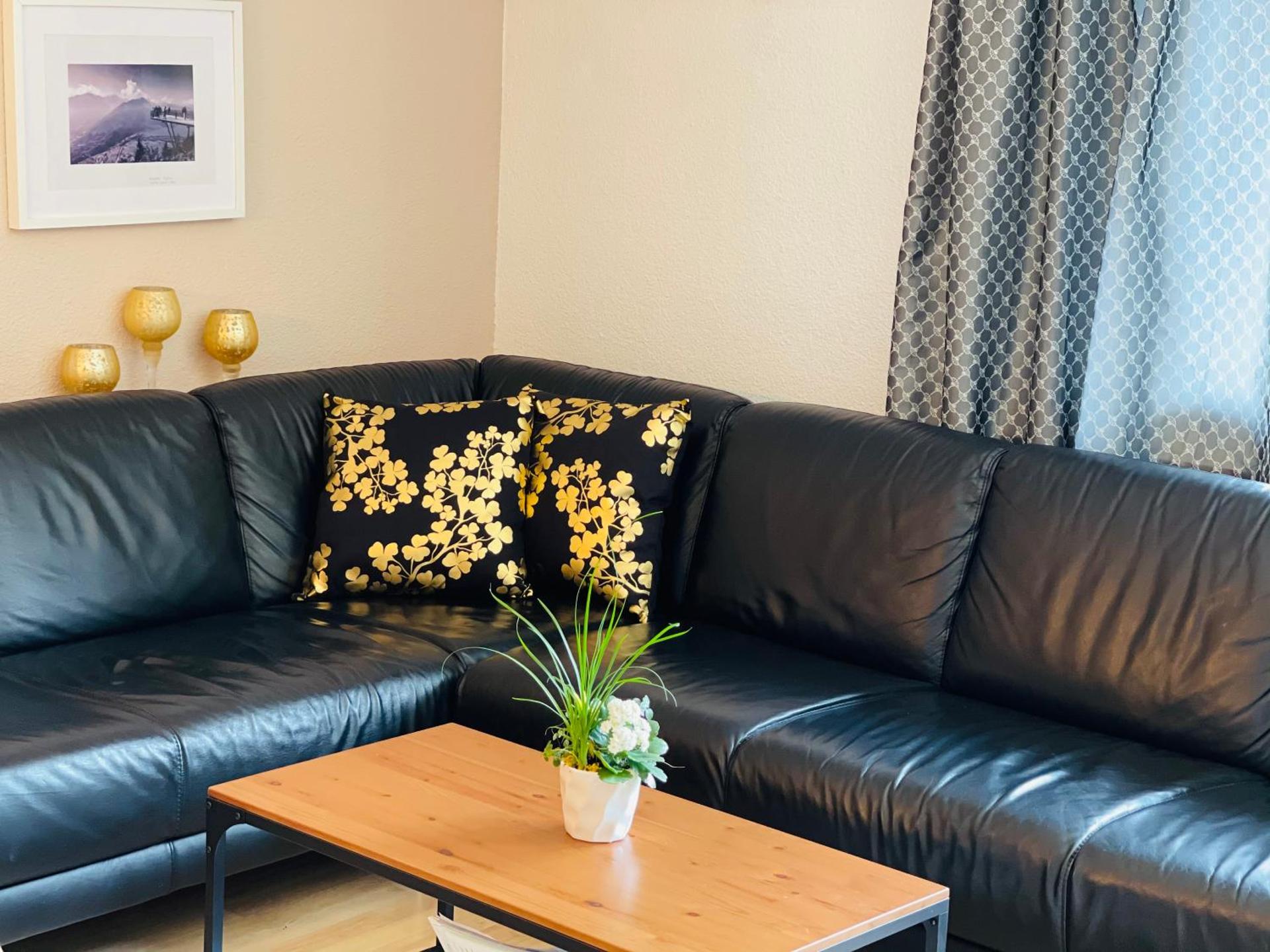 S&P Mountain View Apartment 2