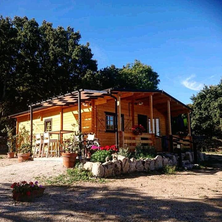 Eco Lodge nella natura Con Piscina privata "La Grande Quercia"
