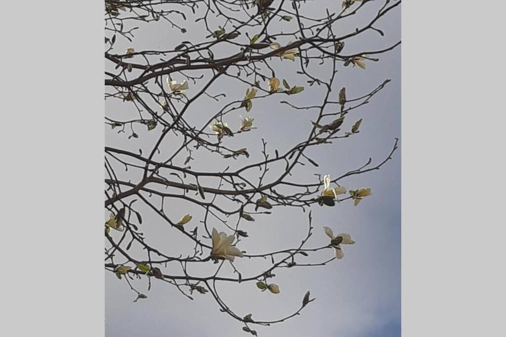 Oranjerie, 7 km onder Groningen