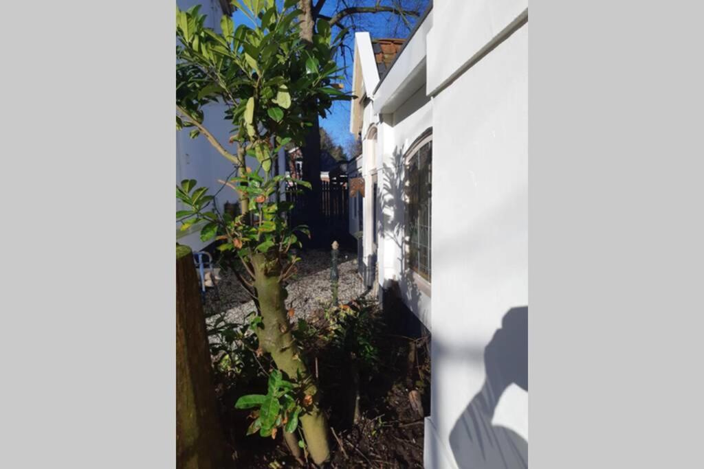 Oranjerie, 7 km onder Groningen