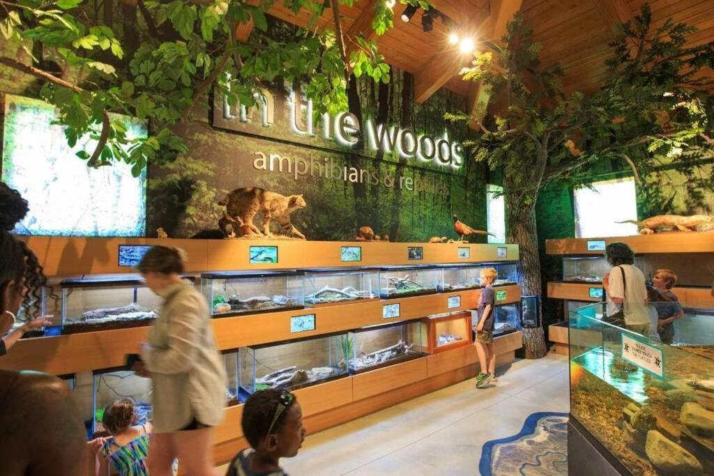 Newly Renovated Carriage House Near Town & Beaches