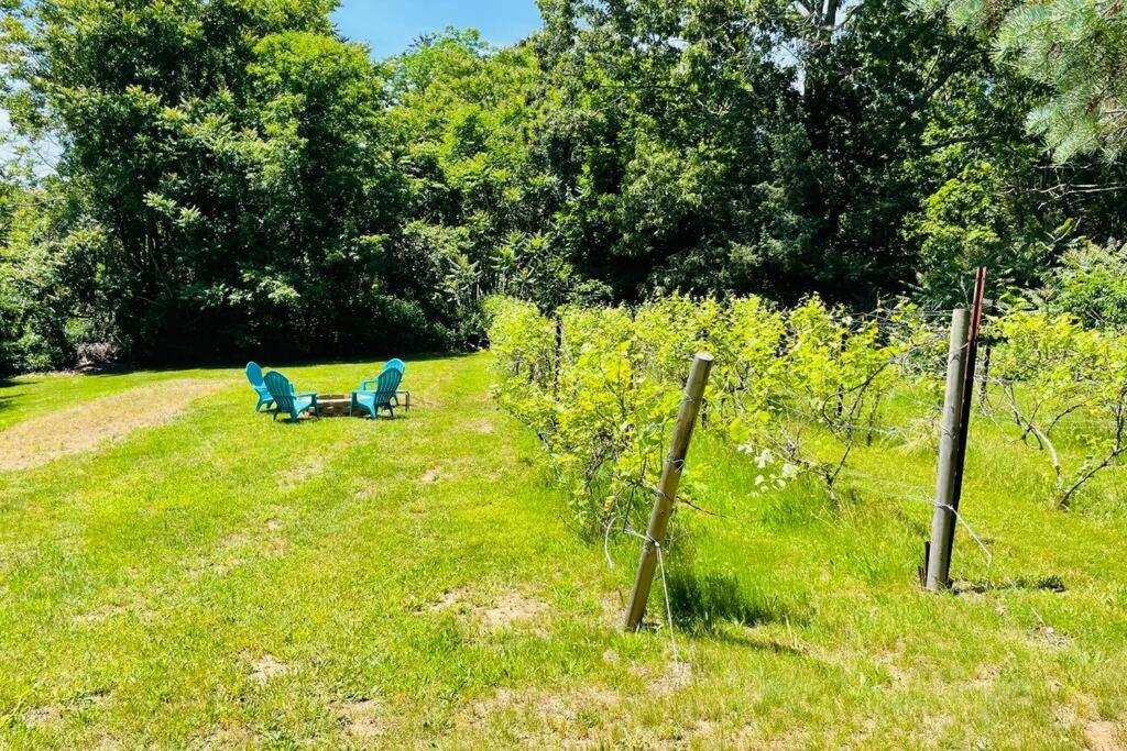 Newly Renovated Carriage House Near Town & Beaches