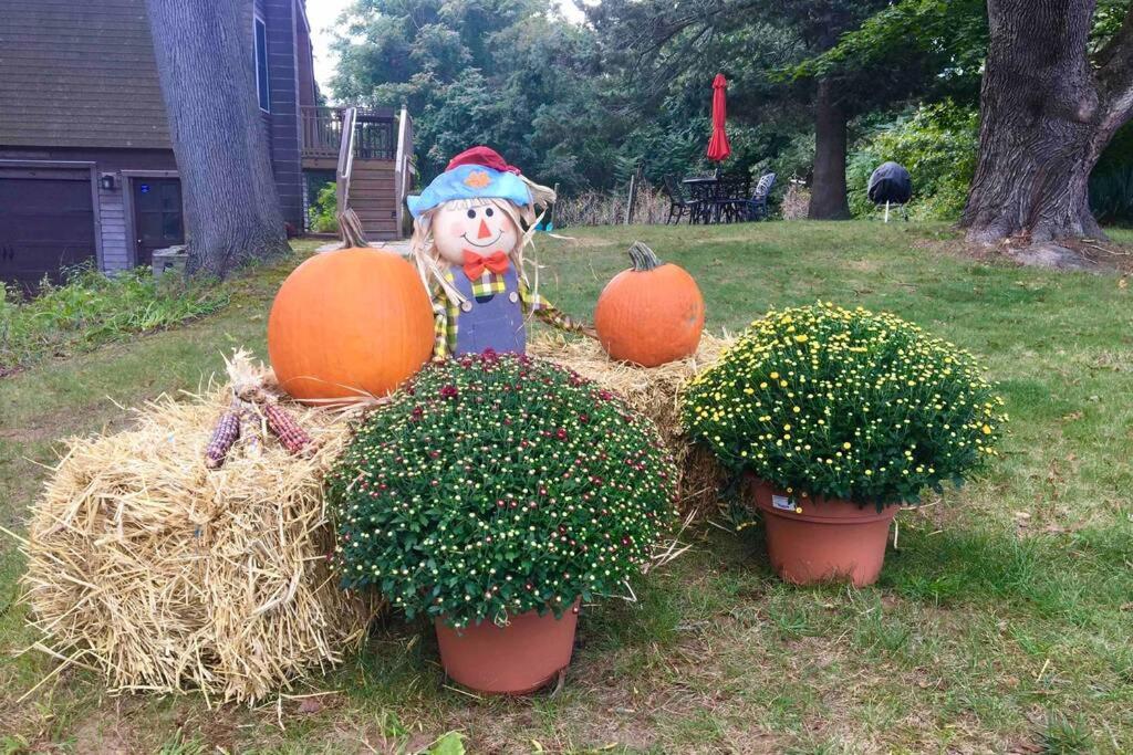 Newly Renovated Carriage House Near Town & Beaches