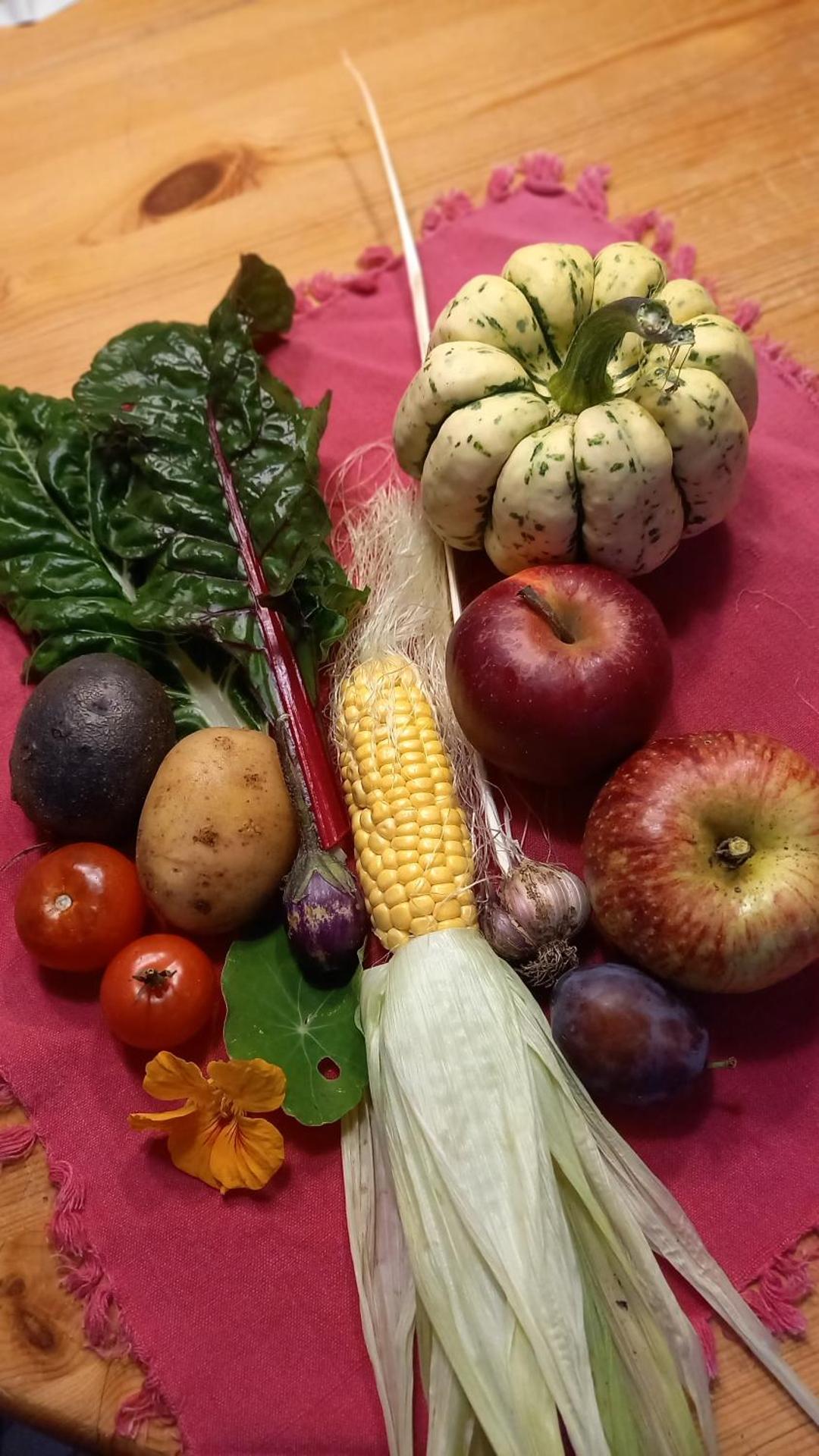 Ferienwohnung Blütenpracht Jork