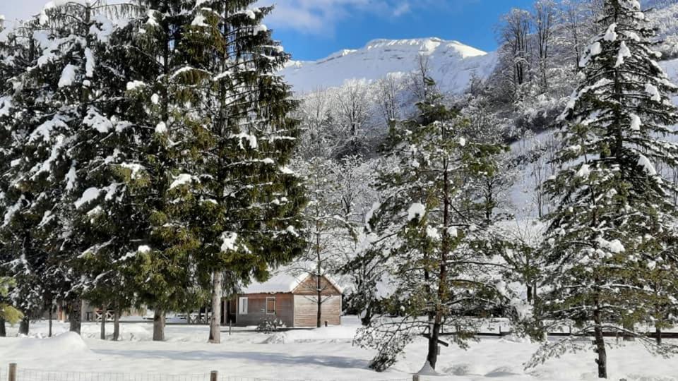 Le Valserine - Camping éco responsable