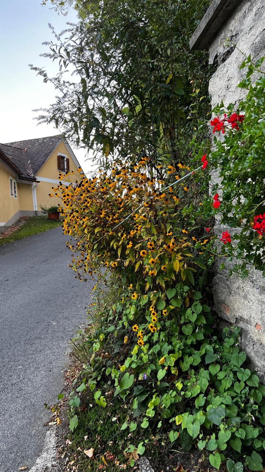 Winzerhäuschen Kern