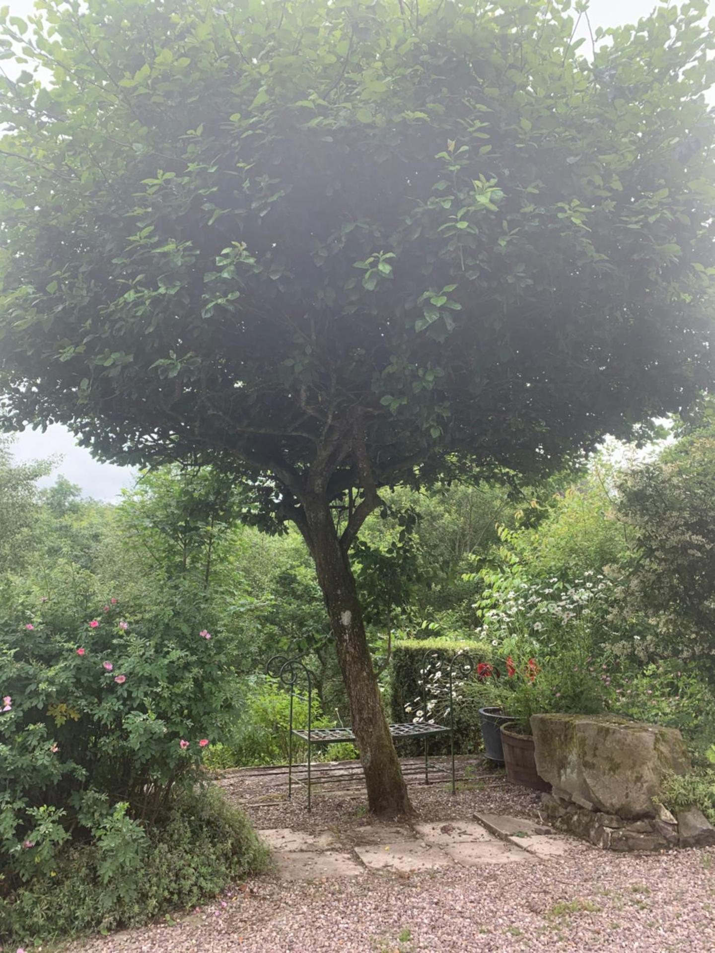 Llethrau Forest & Nature Retreats