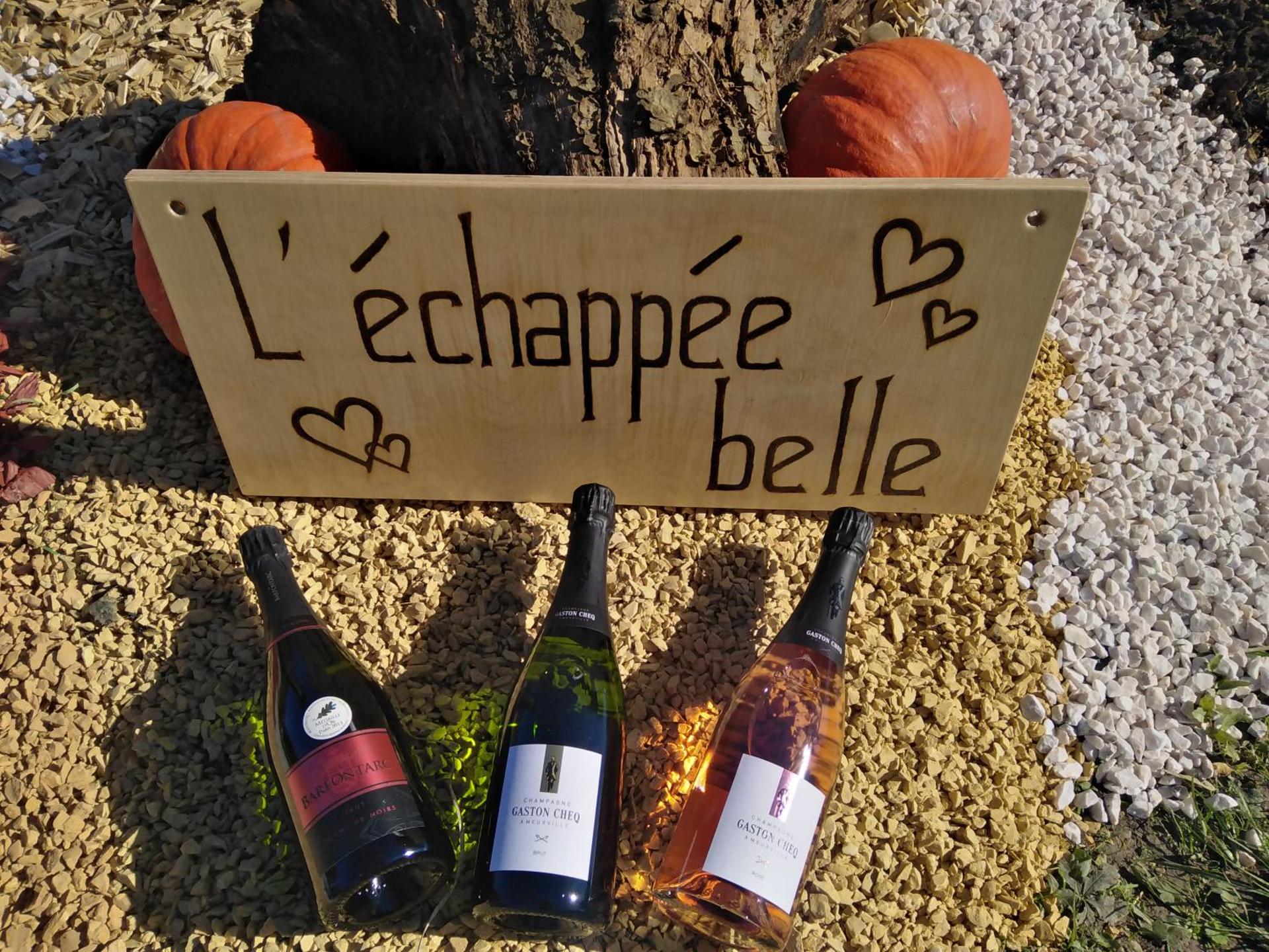 l'échappée belle en Champagne