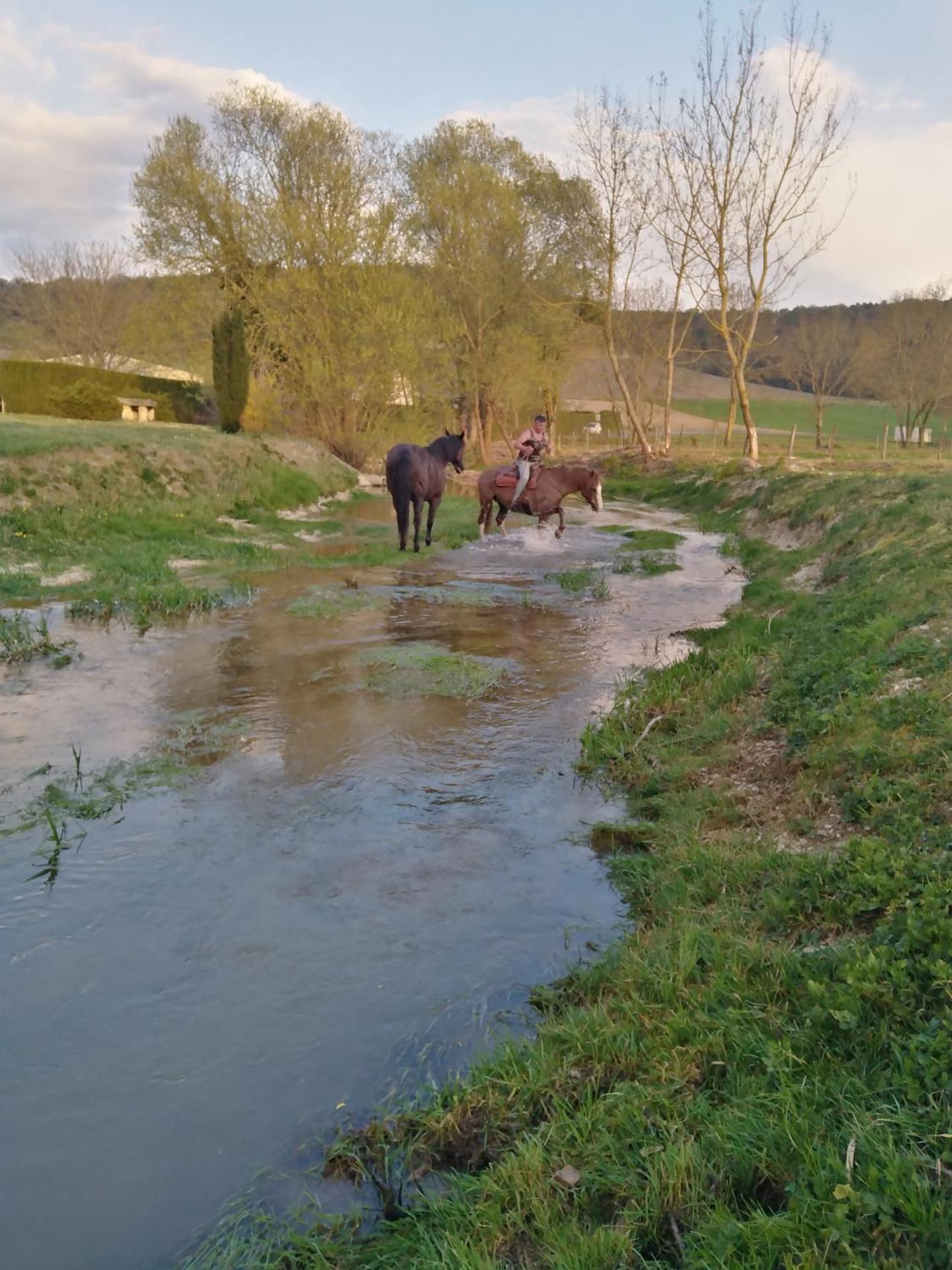 l'échappée belle en Champagne
