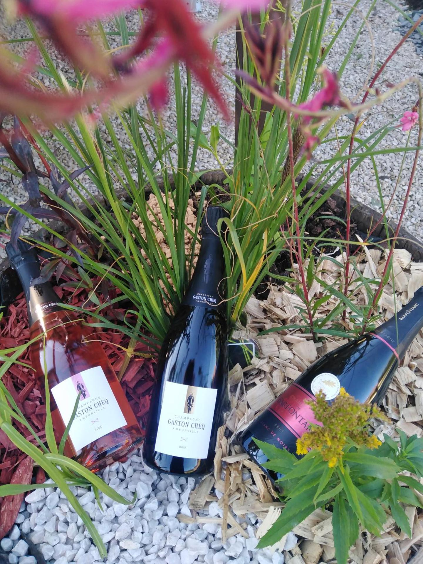 l'échappée belle en Champagne