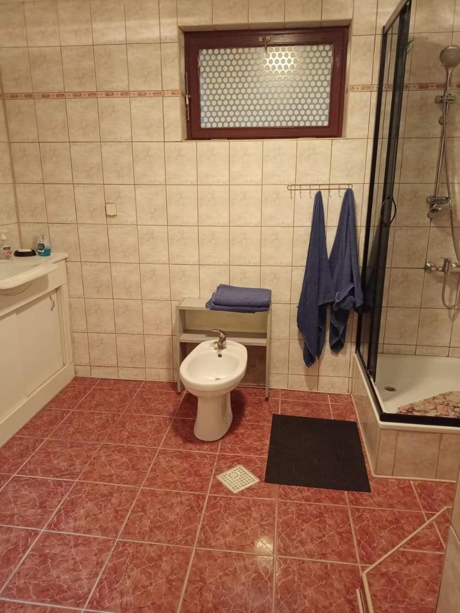 Agroturystyka na wsi w borach tucholskich