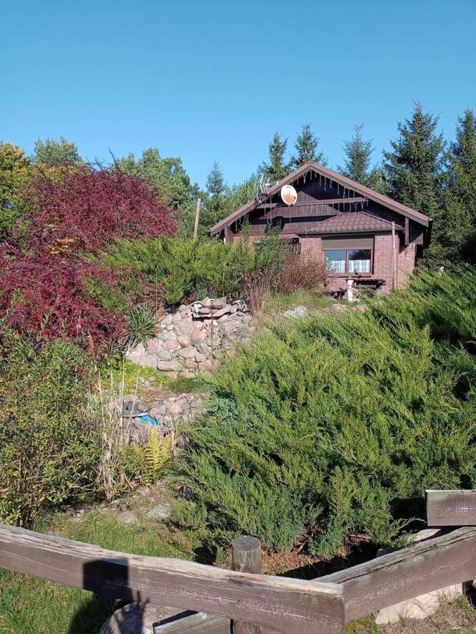 Agroturystyka na wsi w borach tucholskich