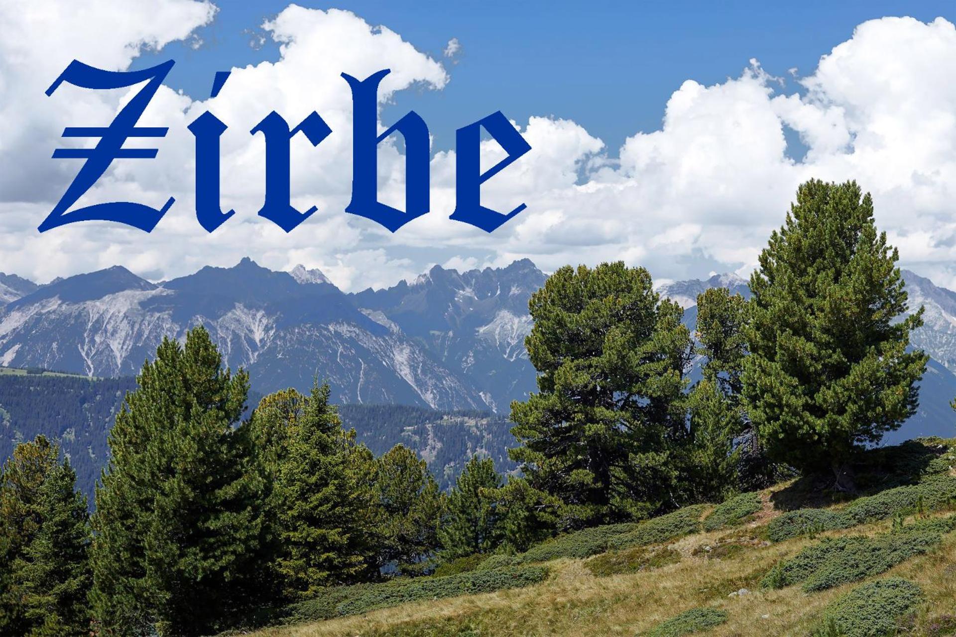 Logo/Certificate/Sign