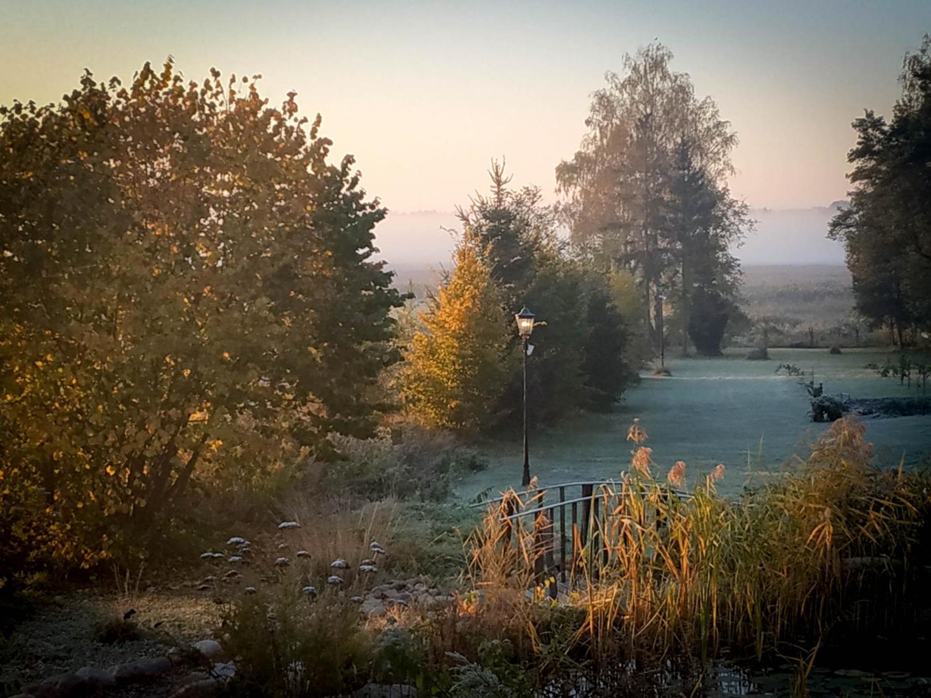 Sosnowy domek w rezerwacie nad Narwią