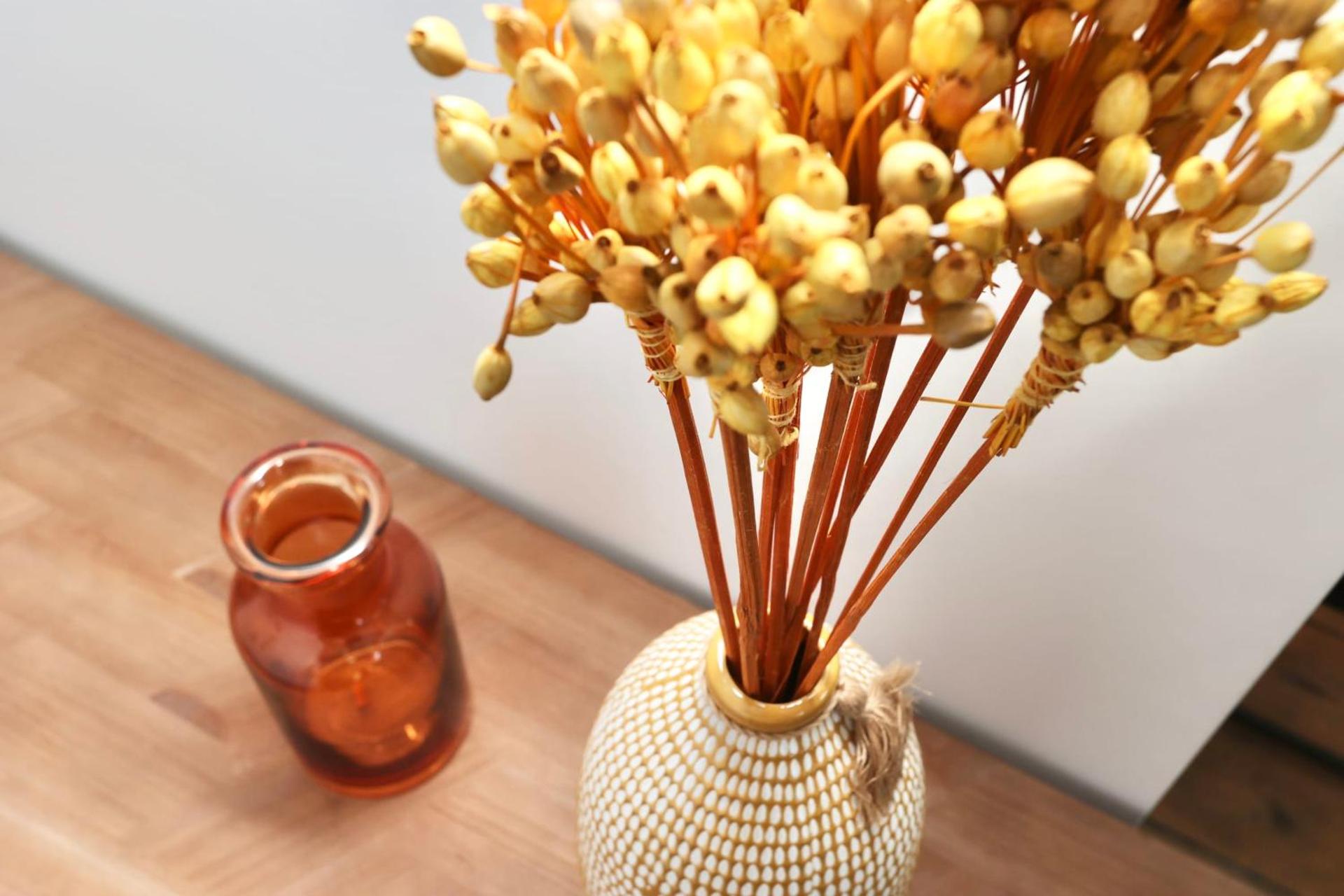 Napoléon Gare 8 T2 Dernier Etage ByLocly