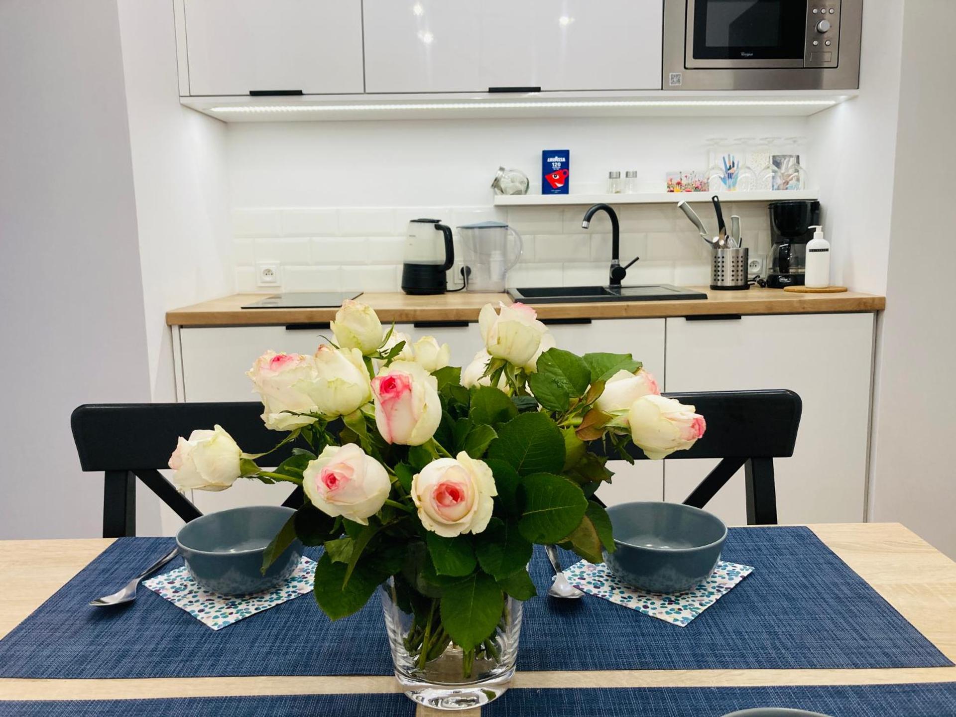 Duo 2 Debniki Apartment