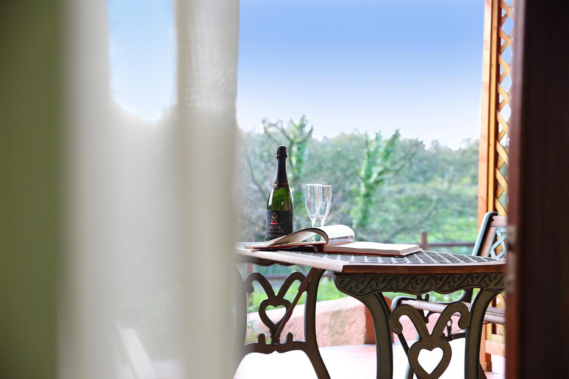 View (from property/room)