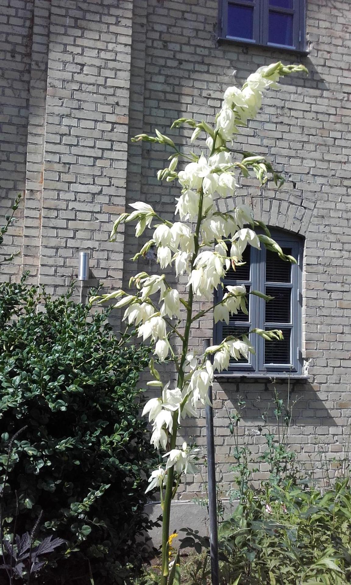 Skelstrupgaard Apartments