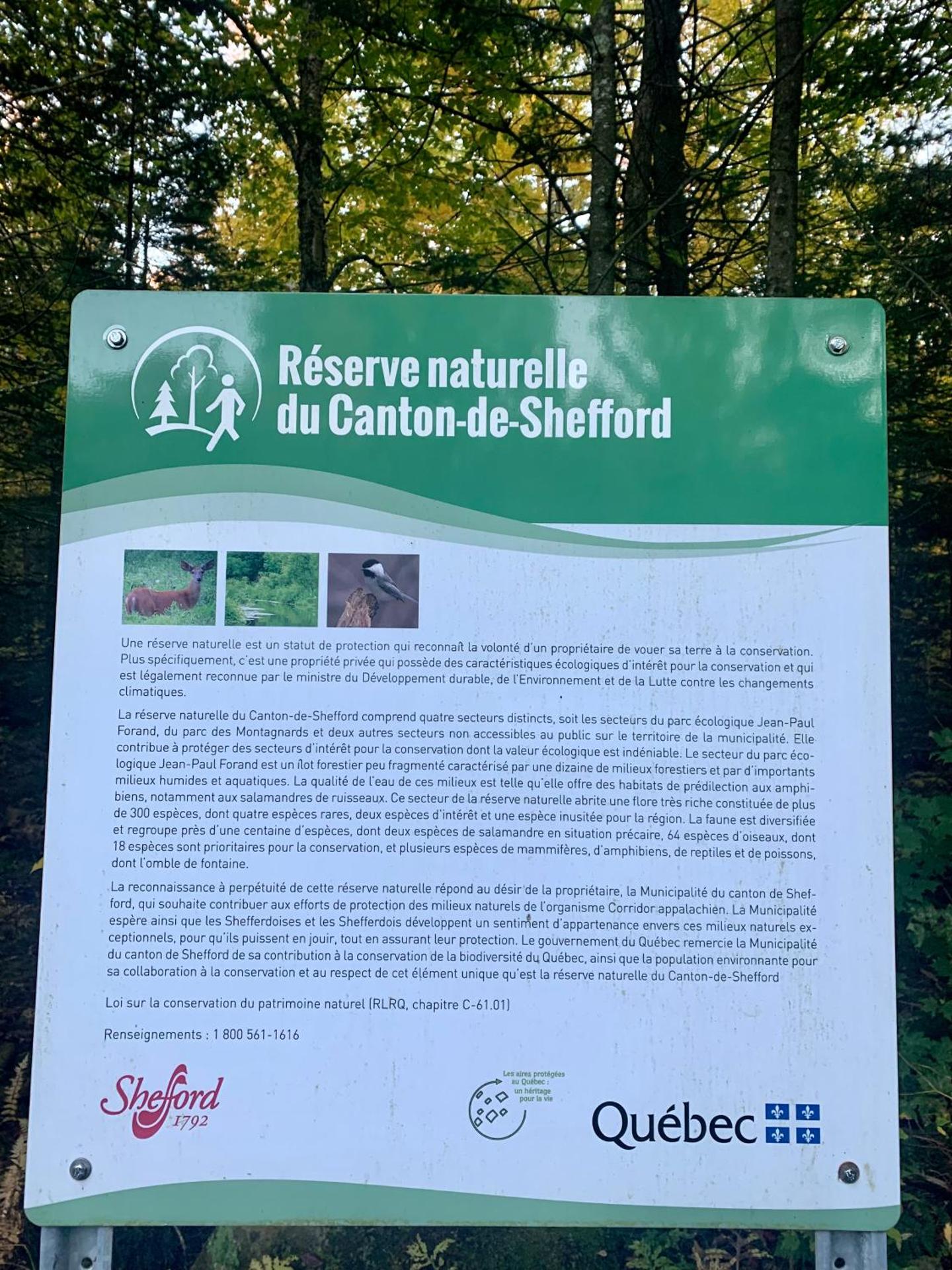 Logo/Certificate/Sign