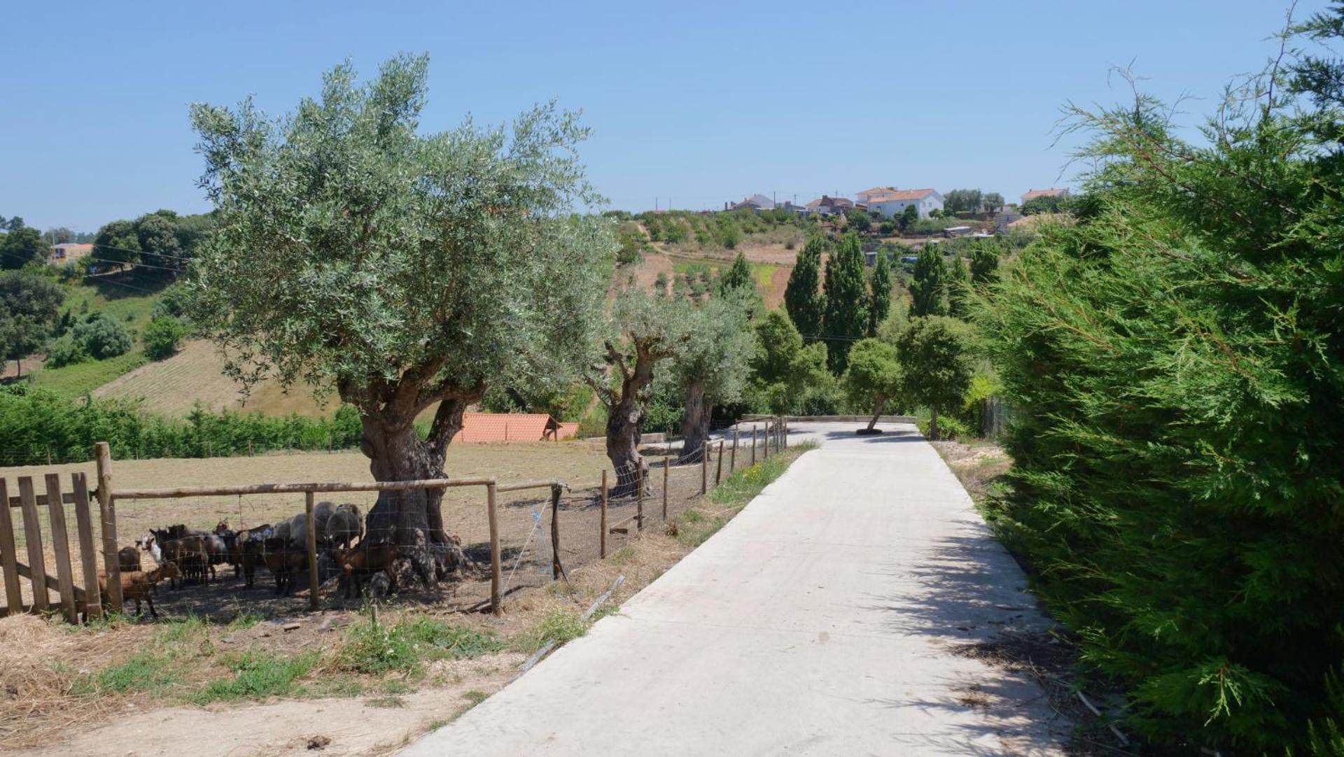 Casa Alfazema, Quinta Carmo - Alcobaça - Nazaré