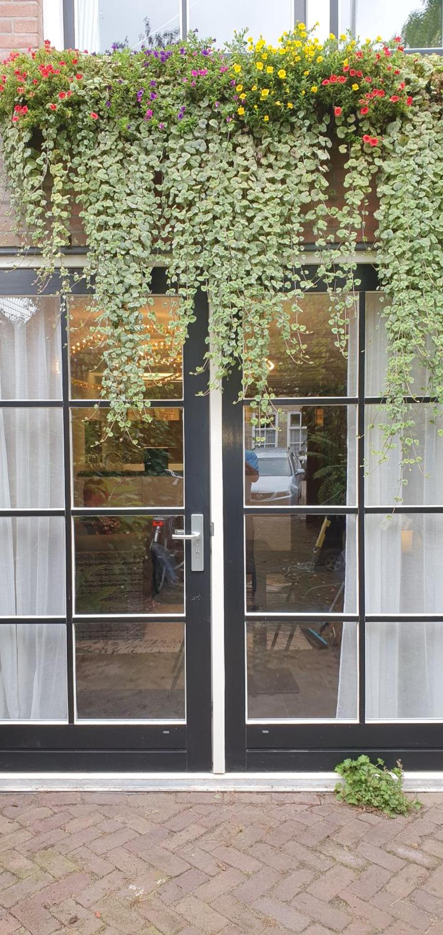 Waar Maas & Waal.....