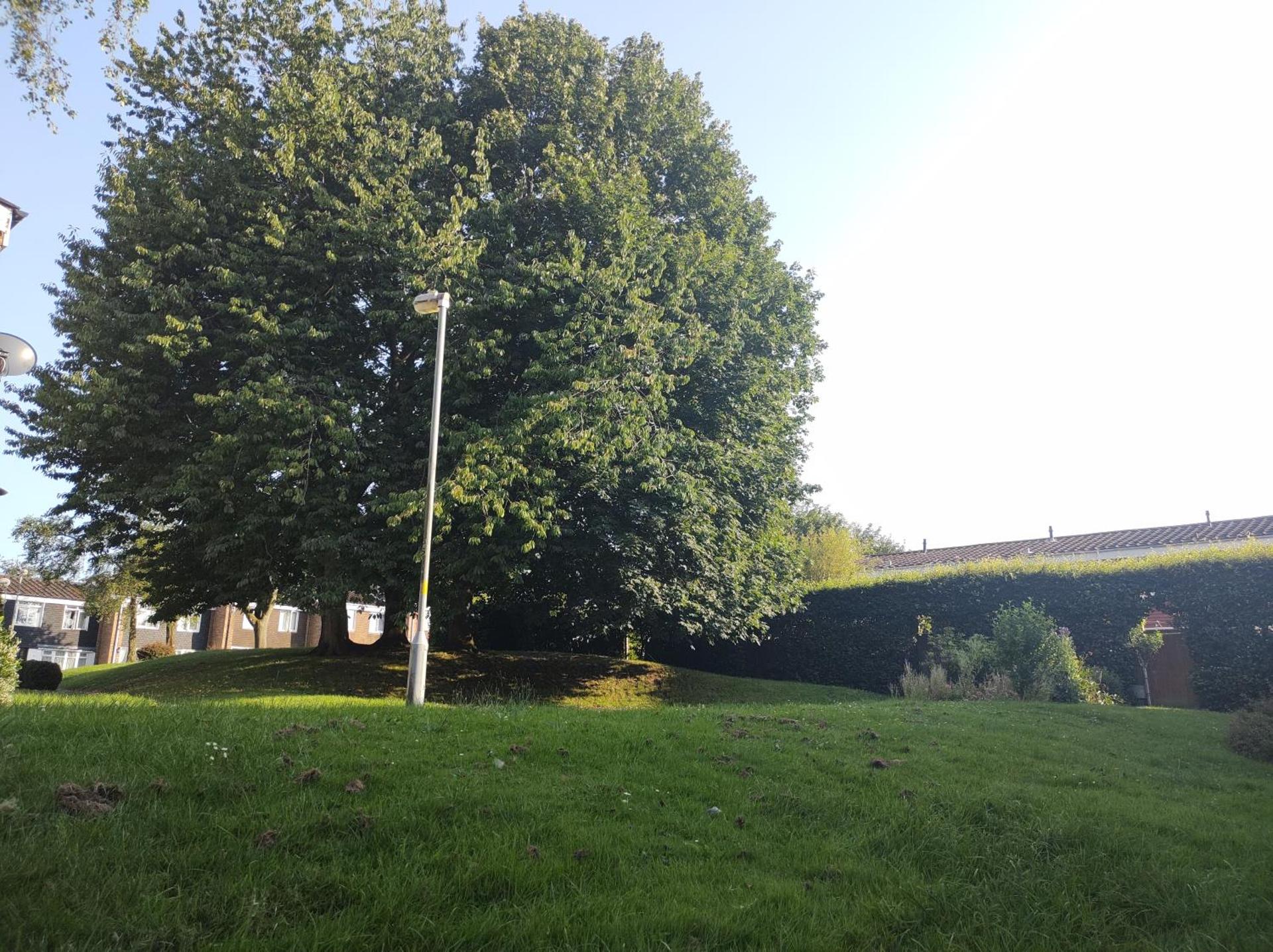 Homestay near a station and park