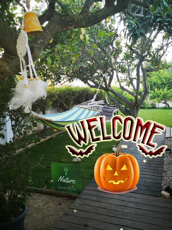 Camera Quadrupla Premium 