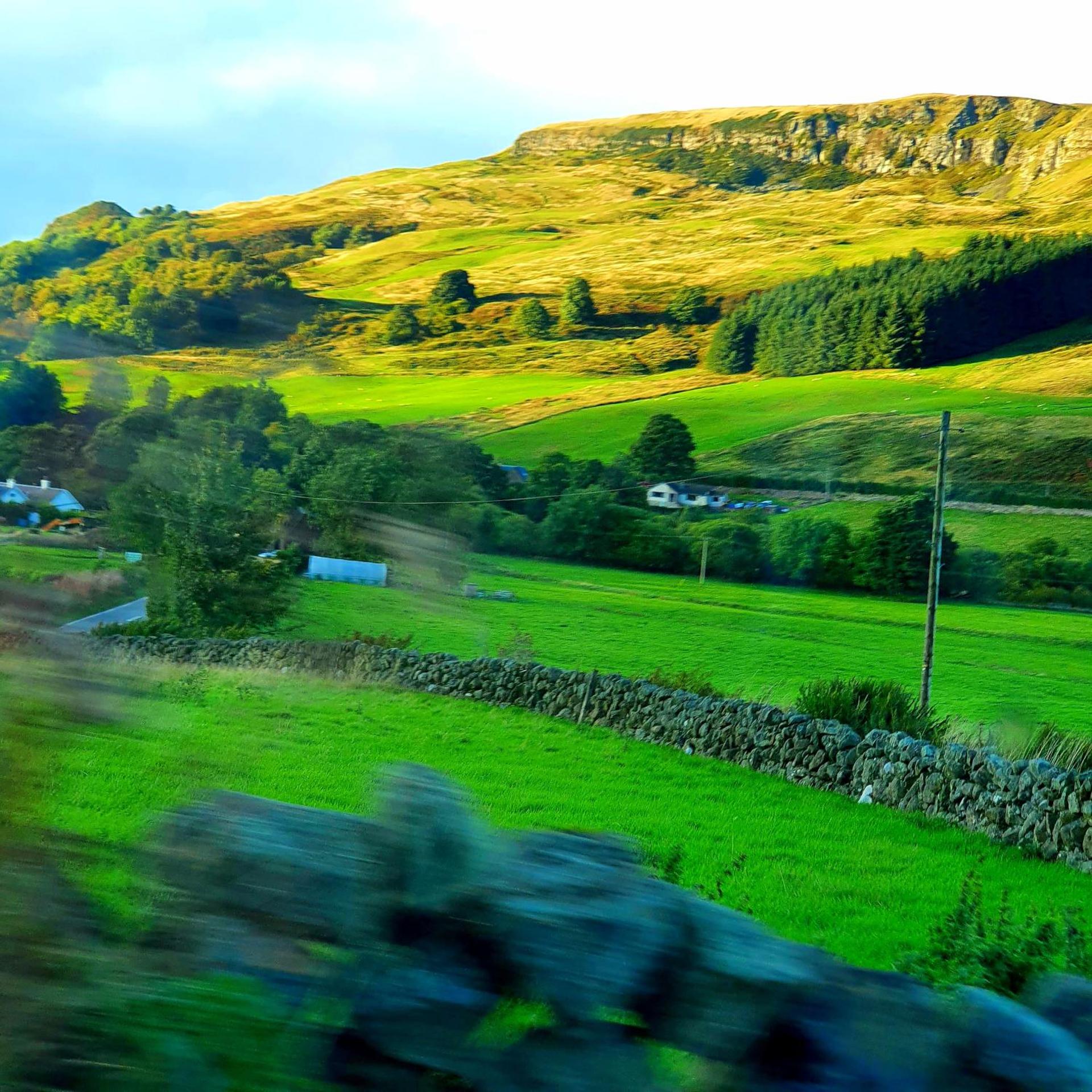The NEW Blue Horse Suite at The Grumpy Schnauzer B&B Luxury Private Indoor Hot Tub Breakfast in Bed