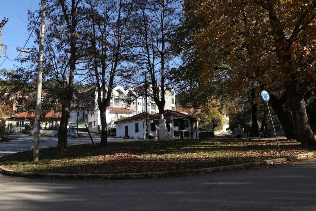 Dream Mountain House