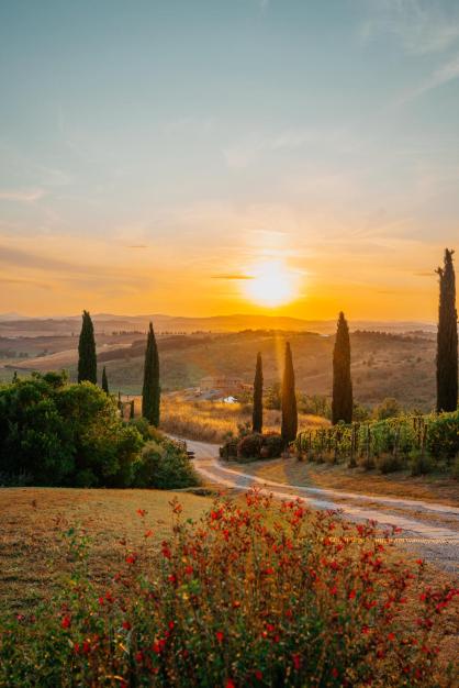 MYRTUS PODERE CUNINA