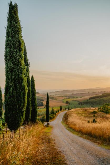 MYRTUS PODERE CUNINA