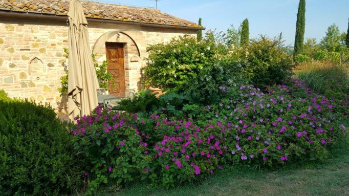 MYRTUS PODERE CUNINA