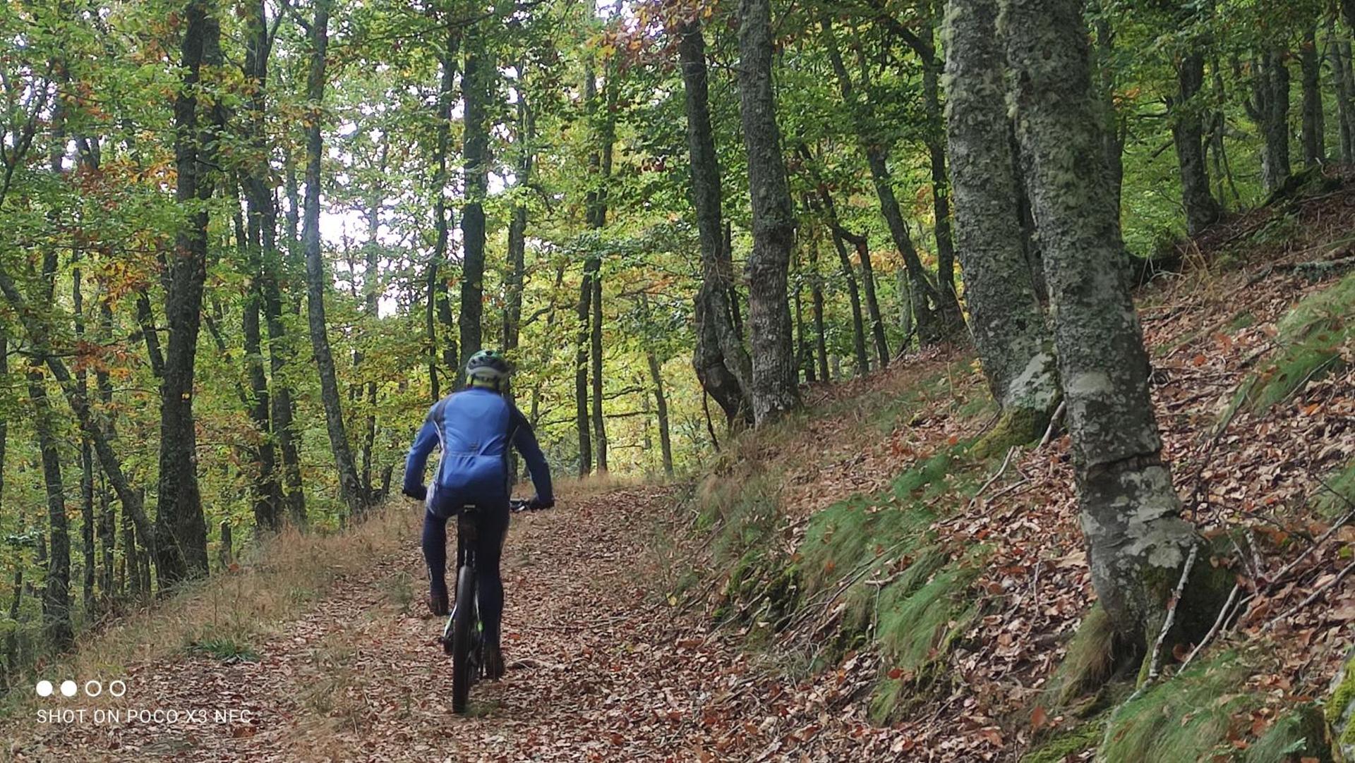 Montes de Lillo --Vut LE 625