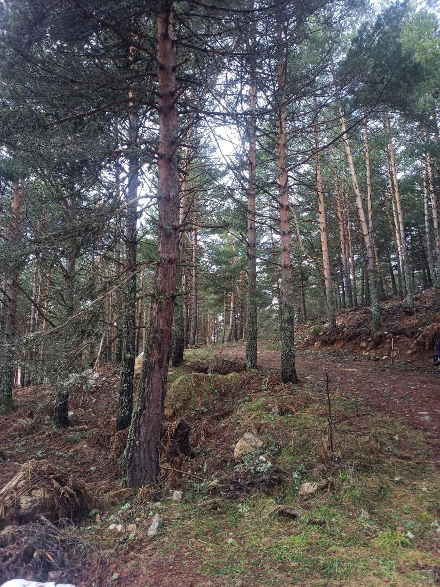 Montes de Lillo --Vut LE 625