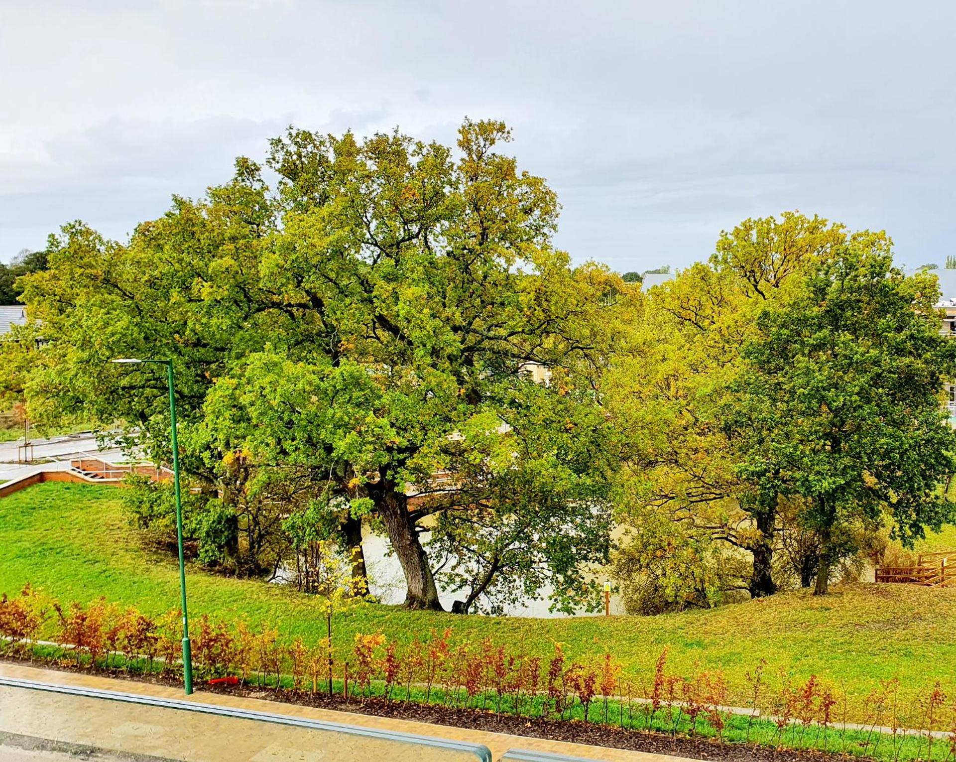 Balcony View Apt Free Parking Sleeps 5