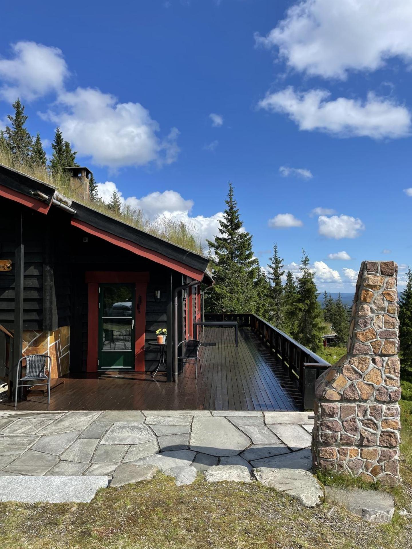 Large cabin at Sjusjøen with sauna, fireplace, view and cross-country skiing