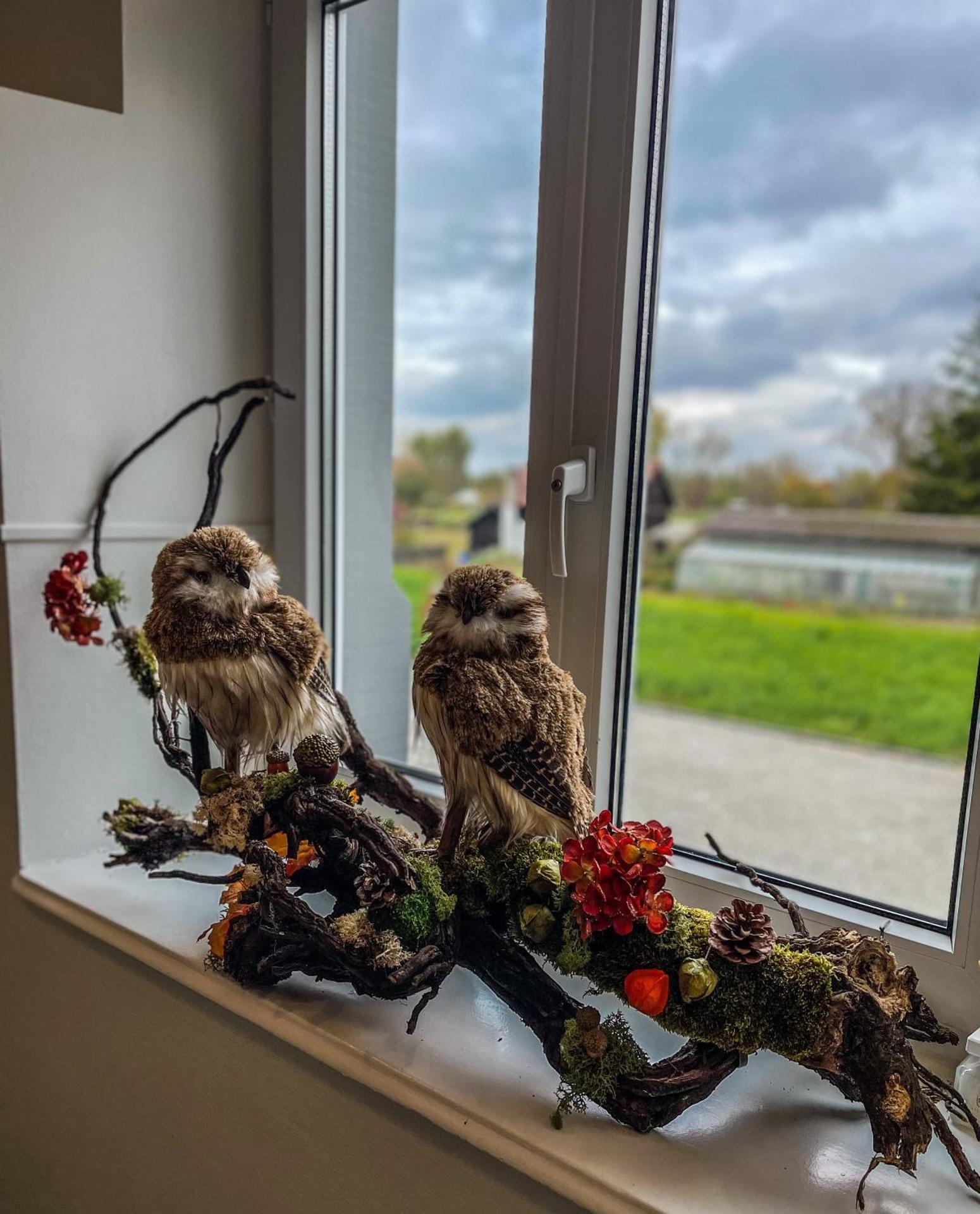 Trompeterschlössle Hotel & Residence